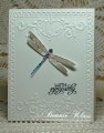 2016/02/17/MB_Meadow_Dragonfly_by_bon2stamp.jpg
