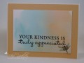 Kindness_v