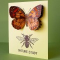 2016/04/01/Nature-Study-Card_by_sharonwisely.jpg