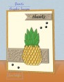 2016/05/27/PPA302_pineapple-thanks-card_by_brentsCards.JPG