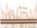 2016/08/11/Birthday_Wheat_rjj_by_scootsv.jpg