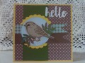 Hello_Bird
