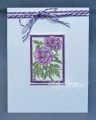 2017/01/23/purple-framed-flowers-hbs_by_hbrown.jpg