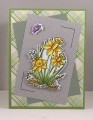 2017/02/26/Daffodils_for_Karen_lb_by_Clownmom.JPG