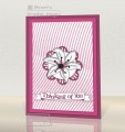 2017/07/11/PP352_flower-swirl-card_by_brentsCards.JPG