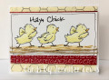 Hay_Chick_