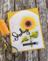 2017/10/13/Sending_Sunflower_by_cullenwr.jpg