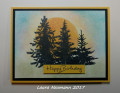 2017/11/13/Birthday_Trees_wm_by_Laura_Neumann.jpg