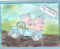 Pig_Convoy