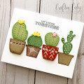 Cacti_by_c
