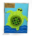 turtle1_by