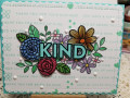 kind_by_Dr
