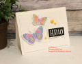 2018/08/06/small-things-butterfly-card-fun-stampers-journey-fsj-clean-simple_by_jill031070.JPG
