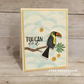 toucan-do-