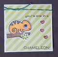 Chameleon_