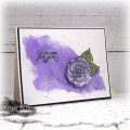 2019/02/27/VG_0219_Shimmerz_PurpleForYou_SNSS_by_Vervegirl.jpg