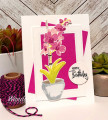 Orchid_by_
