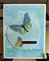 2019/06/09/butterflycard_by_joella58.jpg