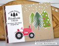 2019/11/26/Christmas_Tree_Farm_Christmas_Trees_Jen_Carter_Sized_by_JenCarter.jpg