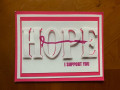 HOPE-2_201