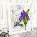 2020/03/10/blessingsindisguise-ks_by_SweetnSassyStamps.jpg
