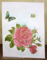 2020/03/13/Hellowatercolor_by_Conniecrafter.jpg
