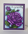 2020/03/21/Purple_Sympathy_Rose_copy_by_JRHolbrook.jpg