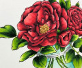 2020/03/25/rose-bowl-big-hugs-bouquet-matinee-marquee-beautiful-heart-prills-deb-valder-stampladee-teaspoon_of_fun-5_by_djlab.jpg