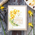 2020/04/10/Debby_Hughes_Watercoloured_Daffodils_2_by_limedoodle.jpg
