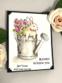 2020/04/11/Mischievous-_Bunny-watering-can-tulip-ladybug-peter-rabbit-easter-Deb-Valder-stampladee-Teaspoon_of_Fun-2_by_djlab.PNG