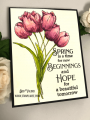 2020/04/11/Splendiferous-tulip-bouquet-springtime-fun-watercolor-deb-valder-stampladee-teaspoon_of_fun_by_djlab.PNG