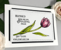 2020/04/11/Tulip-Flower-Florals-Hero-Arts-hello-cardmaking-watercolor-combo-deb-valder-stampladee-teaspoon-of-fun_by_djlab.PNG