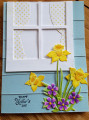 2020/04/13/Mothers_day_daffodils_by_DKivisto.jpg