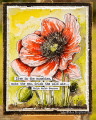 2020/04/29/poppy_watercolor_tutorial-Layers-of-ink_by_Layersofink.jpg