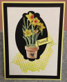 2020/05/01/Daffodils_by_gabbygal.JPG
