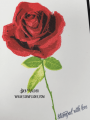 2020/05/01/Hearts_Roses-roses-hearts-kitchen-sink-love-mother_s-day-sympathy-thoughts-anniversary-birthday-happy-deb-valder-stampladee-teaspoon_of_fun-2_by_djlab.PNG