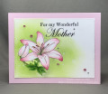2020/05/01/mothers_day_lily_by_Suzstamps.jpg