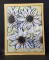 daisies_by