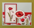 2020/05/25/Pretty_Poppies_5_25_2020_X_by_knoxville8625.jpg