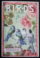 2020/05/27/Papaerminutes_-_Birds_by_rosiekaya.jpg