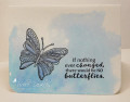 2020/06/01/6_1_20_butterfly_vky_by_Vickie_Y.jpg