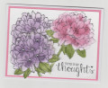 2020/06/09/scs_pink_and_purple_hydrangea_001_by_redi2stamp.jpg