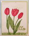 2020/06/19/Tulip_Greeting_F4A539_6_19_2020_X_by_knoxville8625.jpg
