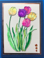 2020/06/26/tulips_by_BabblingBarbara.jpg