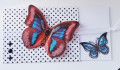 2020/07/27/Butterfly_Ribbon_Pull_by_JRHolbrook.jpg