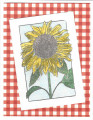 2020/08/03/080220_sunflower_by_Webster8.jpg