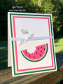 2020/08/05/watermelon-kit-combo-picnic-life-is-sweet-summer-simple-clean-stamping-teaspoon_of_fun-deb-valder-stampladee-1_by_djlab.PNG