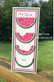 2020/08/06/slimline-watermelon-card-kit-combo-life-is-sweet-juicy-one-in-a-melon-die-melon-slice-deb-valder-stampladee-teaspoon_of_fun-1_by_djlab.PNG