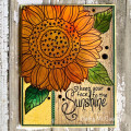 2020/08/12/Like_a_Sunflower_2_by_cathymac.jpg