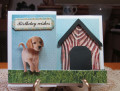 2020/09/02/Puppy_birthday_card_for_Brenda_front_by_JD_from_PAUSA.jpg